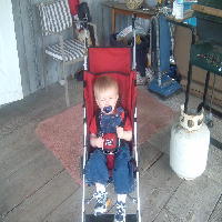 A Work In Progress
July 4, 2006