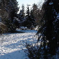 A Snow Day!
Jan. 11, 2007