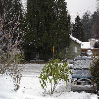 Playing in the Snow!
Jan. 13, 2007