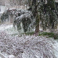 It Snowed!
Feb. 28, 2007